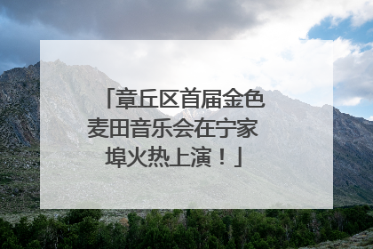 章丘区首届金色麦田音乐会在宁家埠火热上演！