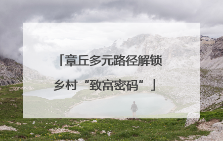 章丘多元路径解锁乡村“致富密码”