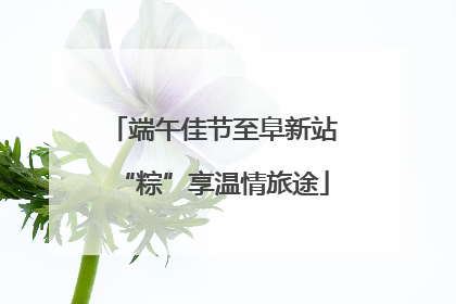 端午佳节至阜新站“粽”享温情旅途