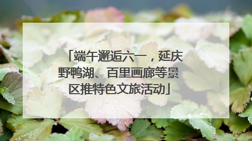 端午邂逅六一，延庆野鸭湖、百里画廊等景区推特色文旅活动