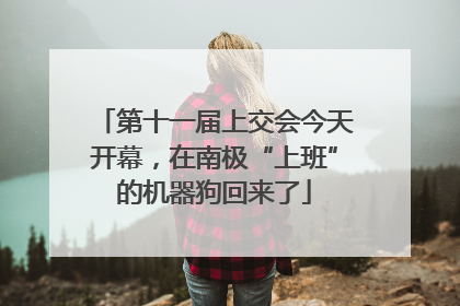 第十一届上交会今天开幕，在南极“上班”的机器狗回来了