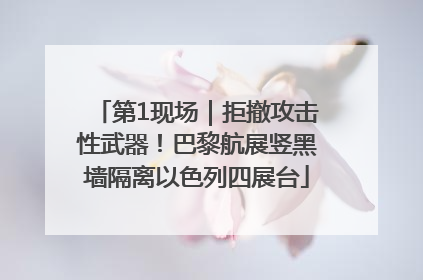 第1现场｜拒撤攻击性武器！巴黎航展竖黑墙隔离以色列四展台