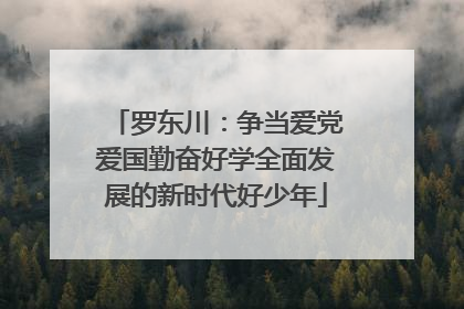 罗东川：争当爱党爱国勤奋好学全面发展的新时代好少年