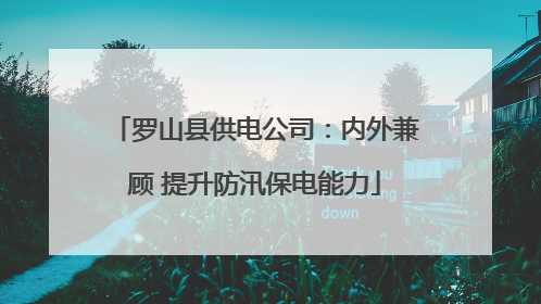 罗山县供电公司：内外兼顾 提升防汛保电能力