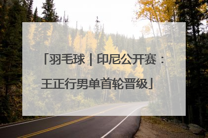 羽毛球｜印尼公开赛：王正行男单首轮晋级