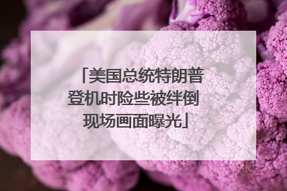美国总统特朗普登机时险些被绊倒 现场画面曝光