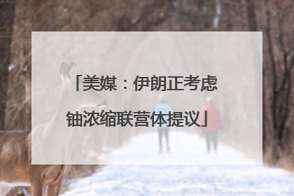 美媒：伊朗正考虑铀浓缩联营体提议