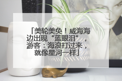 美轮美奂！威海海边出现“蓝眼泪”，游客：海浪打过来，就像星河一样