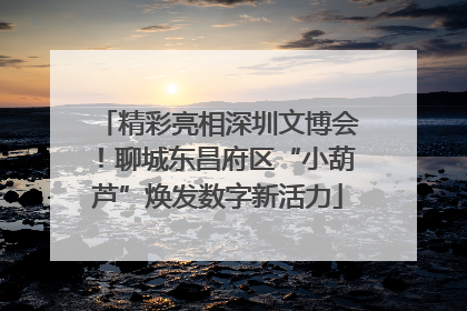 精彩亮相深圳文博会！聊城东昌府区“小葫芦”焕发数字新活力
