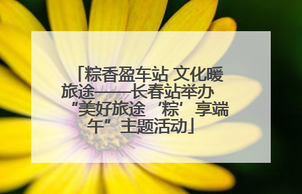 粽香盈车站 文化暖旅途——长春站举办 “美好旅途‘粽’享端午”主题活动