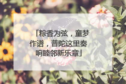 粽香为弦，童梦作谱，普陀这里奏响睦邻新乐章