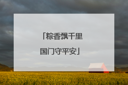 粽香飘千里 国门守平安