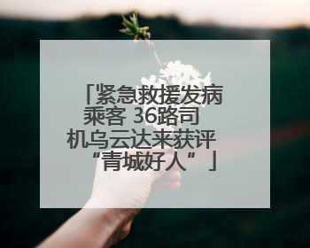 紧急救援发病乘客 36路司机乌云达来获评“青城好人”
