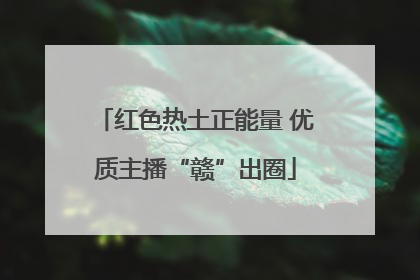 红色热土正能量 优质主播“赣”出圈