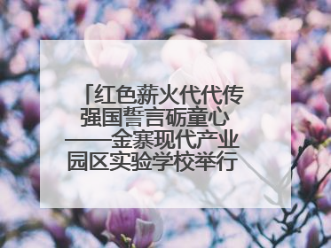 红色薪火代代传 强国誓言砺童心——金寨现代产业园区实验学校举行分批入队仪式