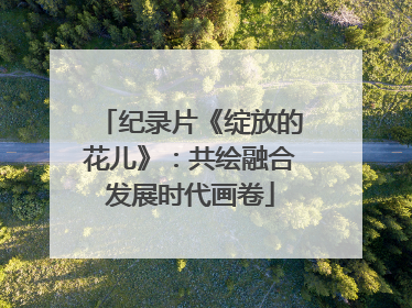 纪录片《绽放的花儿》：共绘融合发展时代画卷