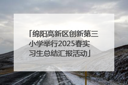 绵阳高新区创新第三小学举行2025春实习生总结汇报活动