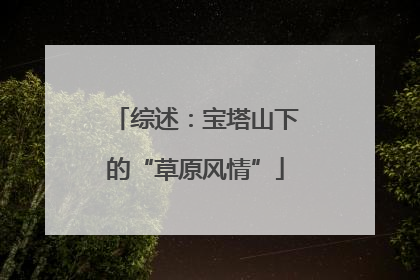 综述：宝塔山下的“草原风情”