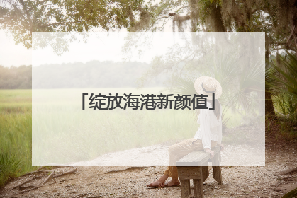 绽放海港新颜值