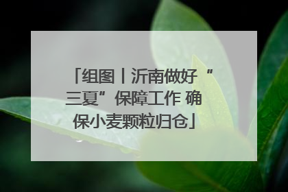 组图丨沂南做好“三夏”保障工作 确保小麦颗粒归仓