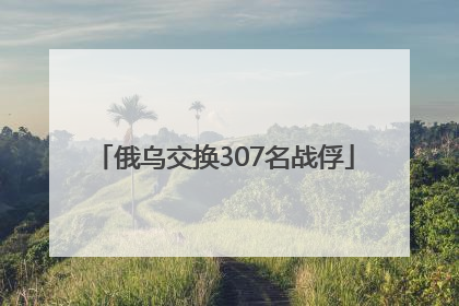 俄乌交换307名战俘