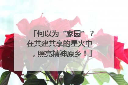 何以为“家园”？在共建共享的星火中，照亮精神原乡！