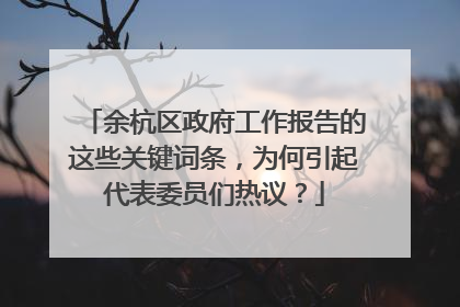 余杭区政府工作报告的这些关键词条，为何引起代表委员们热议？