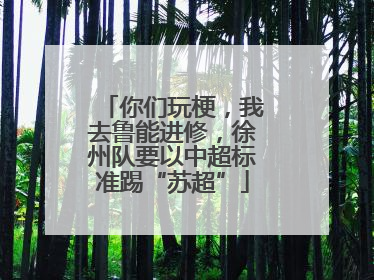 你们玩梗，我去鲁能进修，徐州队要以中超标准踢“苏超”