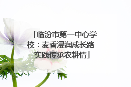 临汾市第一中心学校：麦香浸润成长路 实践传承农耕情