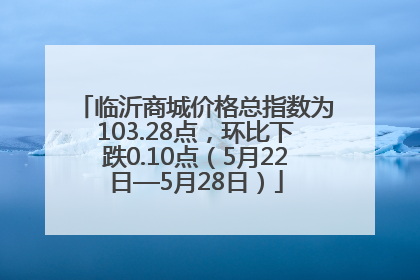 临沂商城价格总指数为103.28点，环比下跌0.10点（5月22日—5月28日）