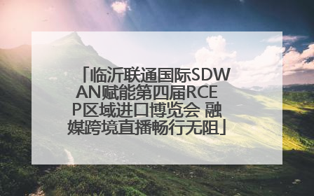 临沂联通国际SDWAN赋能第四届RCEP区域进口博览会 融媒跨境直播畅行无阻
