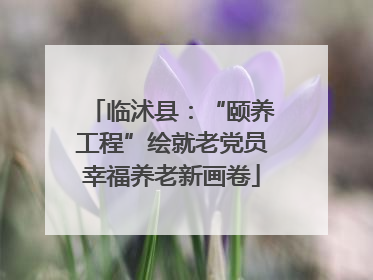 临沭县：“颐养工程”绘就老党员幸福养老新画卷