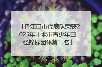 丹江口市代表队荣获2025年十堰市青少年田径锦标团体第一名