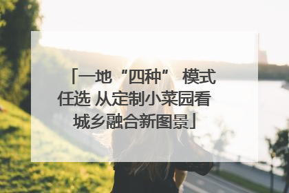 一地“四种” 模式任选 从定制小菜园看城乡融合新图景