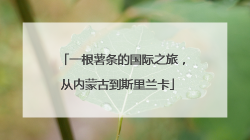 一根薯条的国际之旅，从内蒙古到斯里兰卡