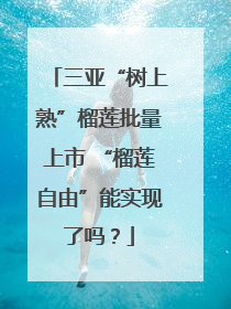 三亚“树上熟”榴莲批量上市 “榴莲自由”能实现了吗？