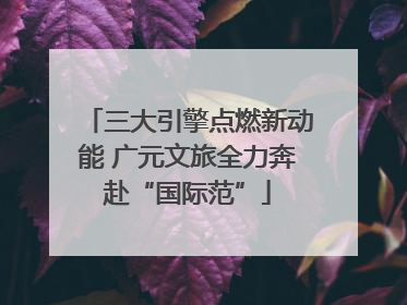 三大引擎点燃新动能 广元文旅全力奔赴“国际范”
