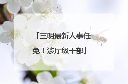 三明最新人事任免！涉厅级干部