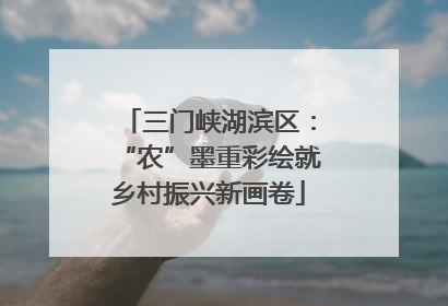 三门峡湖滨区：“农”墨重彩绘就乡村振兴新画卷