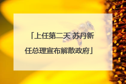 上任第二天 苏丹新任总理宣布解散政府