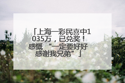 上海一彩民喜中1035万，已兑奖！感慨 “一定要好好感谢我兄弟”