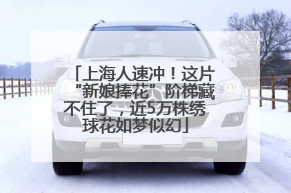 上海人速冲！这片“新娘捧花”阶梯藏不住了，近5万株绣球花如梦似幻