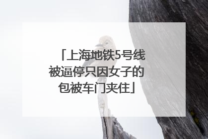 上海地铁5号线被逼停只因女子的包被车门夹住
