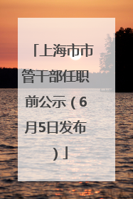 上海市市管干部任职前公示（6月5日发布）