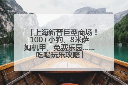 上海新晋巨型商场！100+小狗、8米萨姆机甲、免费乐园……吃喝玩乐攻略