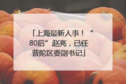 上海最新人事！“80后”赵亮，已任普陀区委副书记