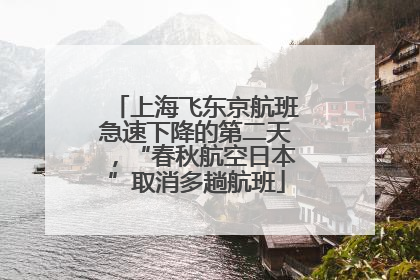 上海飞东京航班急速下降的第二天，“春秋航空日本”取消多趟航班