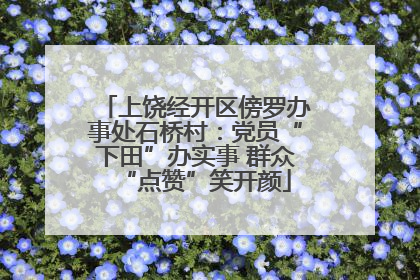 上饶经开区傍罗办事处石桥村：党员“下田”办实事 群众“点赞”笑开颜