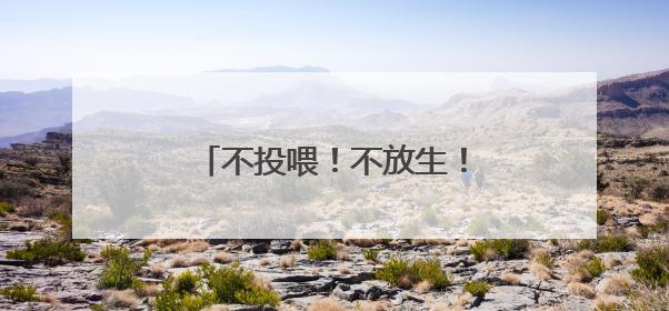 不投喂！不放生！不触摸野生动物！