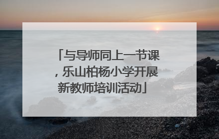 与导师同上一节课，乐山柏杨小学开展新教师培训活动